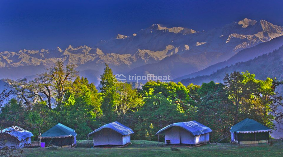 magpie-jungle-camp-chopta-uttarakhand-1-book-best-offbeat-resorts-tripoffbeat