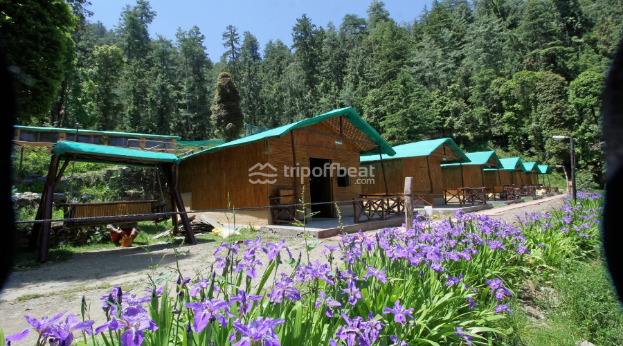 mashobra-greens-shimla-himachal-pradesh-1-book-best-offbeat-resorts-tripoffbeat