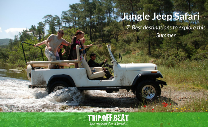 best jungle safari in India