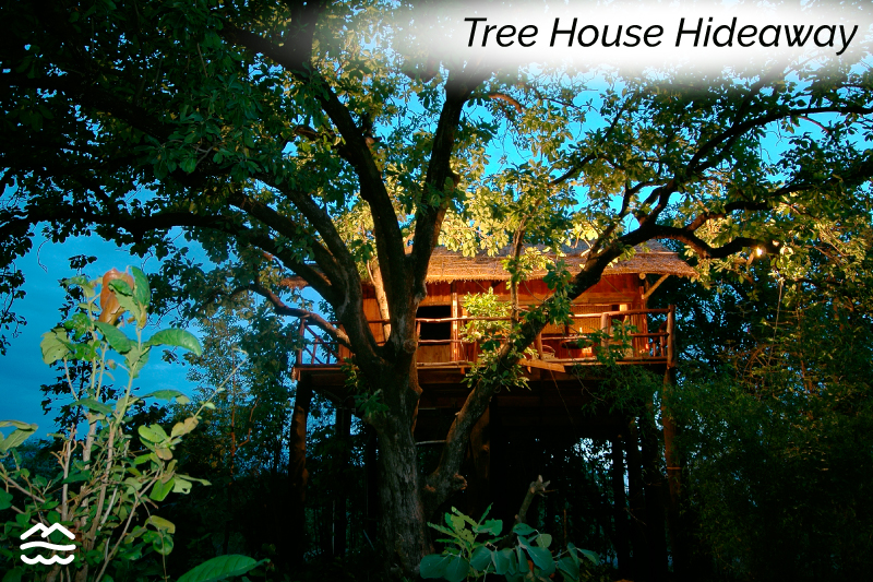 tree-house-hideaway-bandhavgarh-tiger-reserve-madhya-pradesh-tripoffbeat