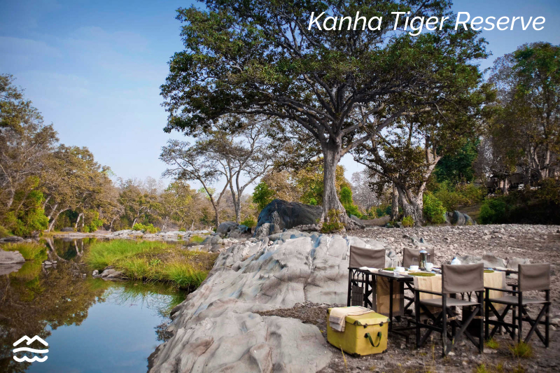 kanha-tiger-reserve-madhya-pradesh-tripoffbeat