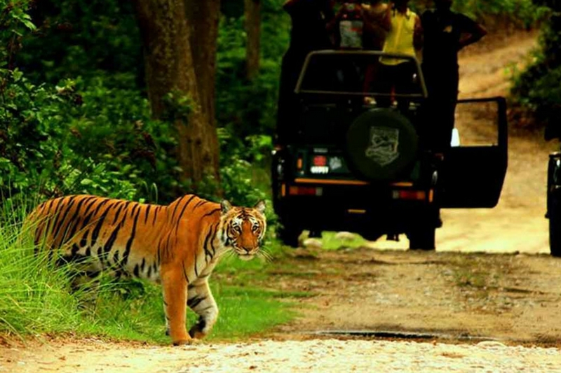 corbett-uttarakhand-tripoffbeat