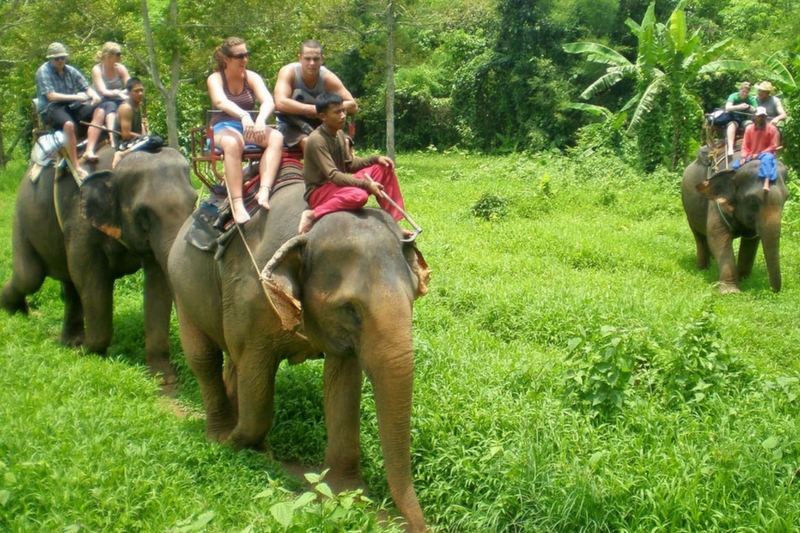 corbett-national-parj-uttarakhand-tripoffbeat