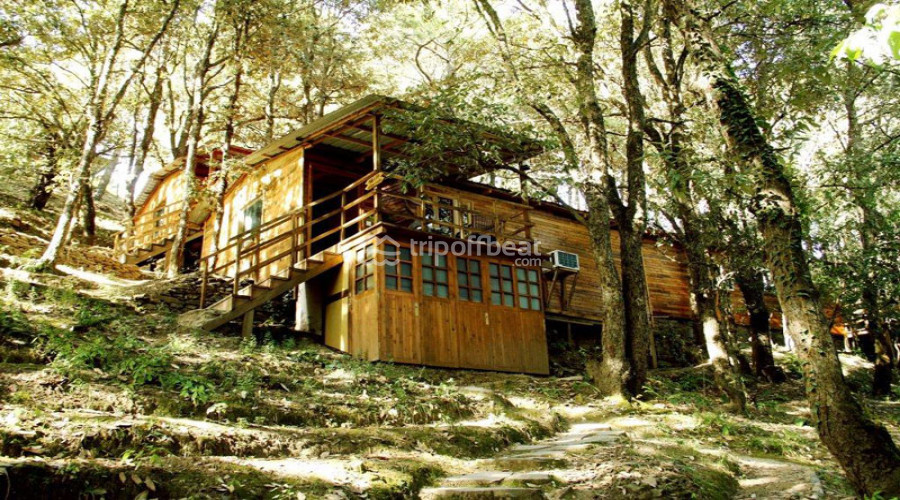 aamod-shoghi-himachal-pradesh-resort-001-book-best-offbeat-resorts-tripoffbeat