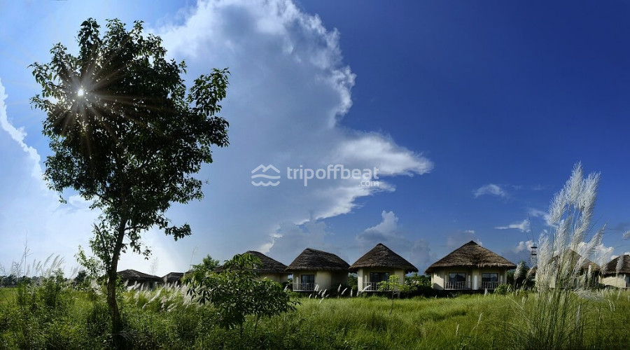 barahi-jungle-lodge-chitwan-nepal-resort-001-book-best-offbeat-resorts-tripoffbeat