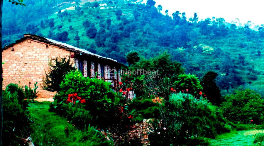 itmenaan-estate-almora-uttarakhand-resort-001-book-best-offbeat-resorts-tripoffbeat