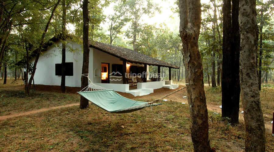 kipling-camp-kanha-tiger-reserve-madhya-pradesh-resort-001-book-best-offbeat-resorts-tripoffbeat