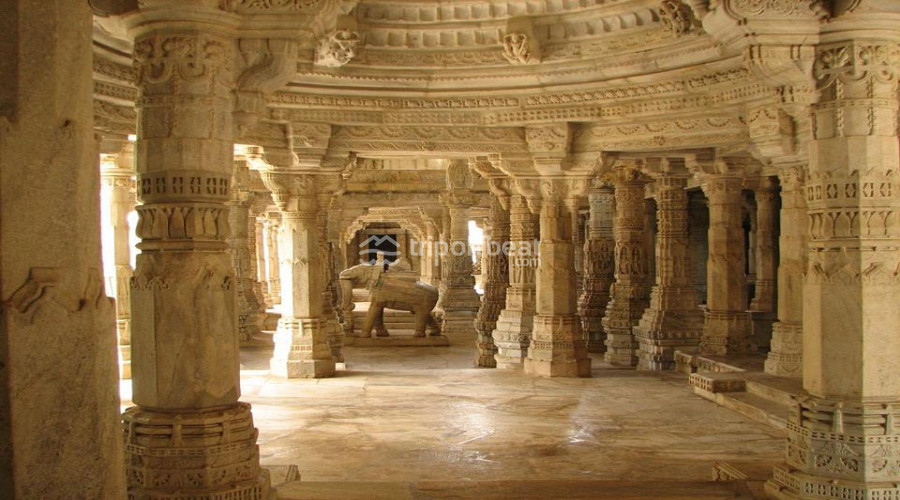 Leopard's Lair, Bera(Rajasthan)- Reviews, Photos & Book | TripOffBeat