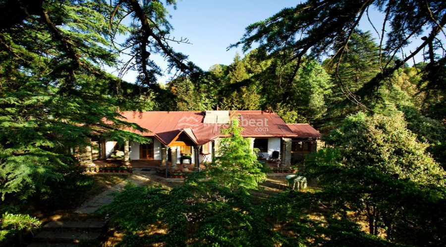 mary-budden-estate-binsar-uttarakhand-1-book-best-offbeat-resorts-tripoffbeat