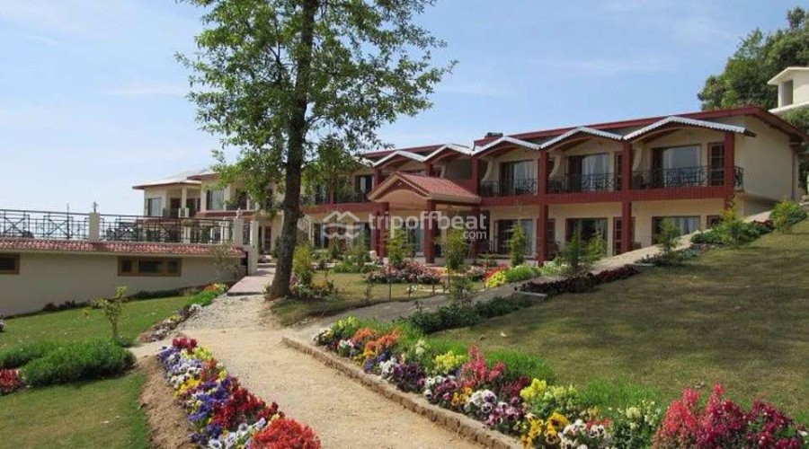 ojaswi-tea-garden-resort-chaukori-uttarakhand-1-book-best-offbeat-resorts-tripoffbeat