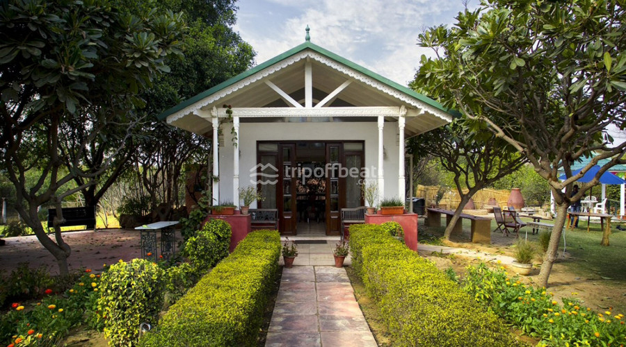 peepal-kothi-gurgaon-haryana-resort-001-book-best-offbeat-resorts-tripoffbeat