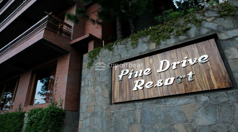 pine-drive-resort-solan-himachal-pradesh-2-book-best-offbeat-resorts-tripoffbeat