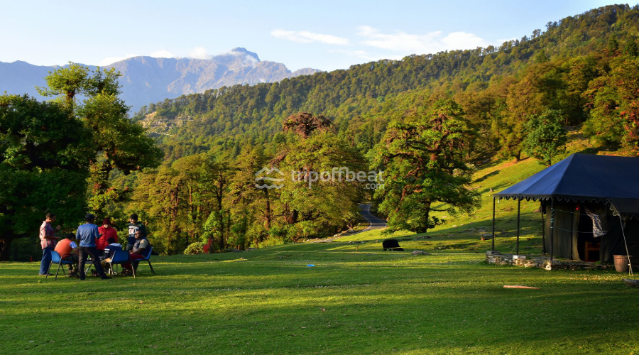 pristine-peaks-eco-camp-chopta-uttarakhand-1-book-best-offbeat-resorts-tripoffbeat