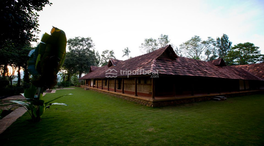 rajakkad-estate-rajakkad-tamil-nadu-resort-001-book-best-offbeat-resorts-tripoffbeat