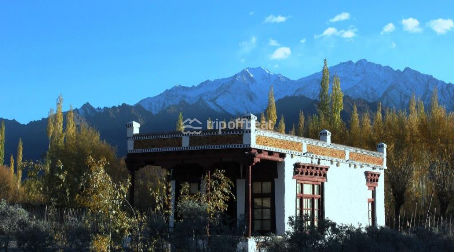 shey-bhumi-ladakh-leh-ladakh-j-k-resort-001-book-best-offbeat-resorts-tripoffbeat