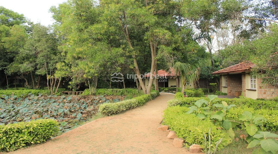 tiger-trails-resort-bandhavgarh-national-park-madhya-pradesh-resort-001-book-best-offbeat-resorts-tripoffbeat