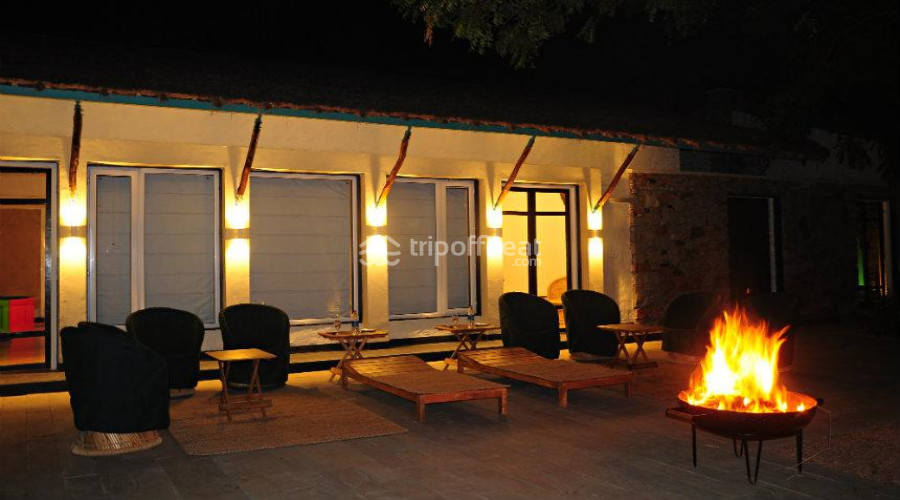 trees-&-tigers-resort-sariska-rajasthan-12-book-best-offbeat-resorts-tripoffbeat