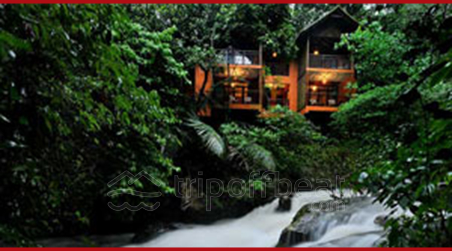 vythiri-resort-wayanad-kerala-resort-001-book-best-offbeat-resorts-tripoffbeat