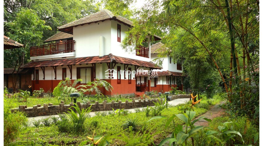 vythiri-wayanad-kerala-1551333689TripOffbeat_Kerala_Vythiri_Resort_001-book-best-offbeat-resorts-tripoffbeat