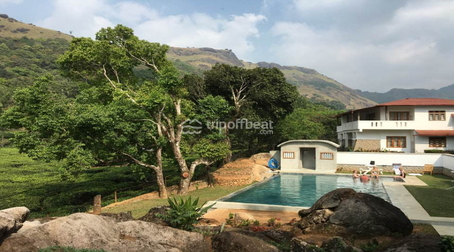 windermere-estate-munnar-kerala-19-book-best-offbeat-resorts-tripoffbeat