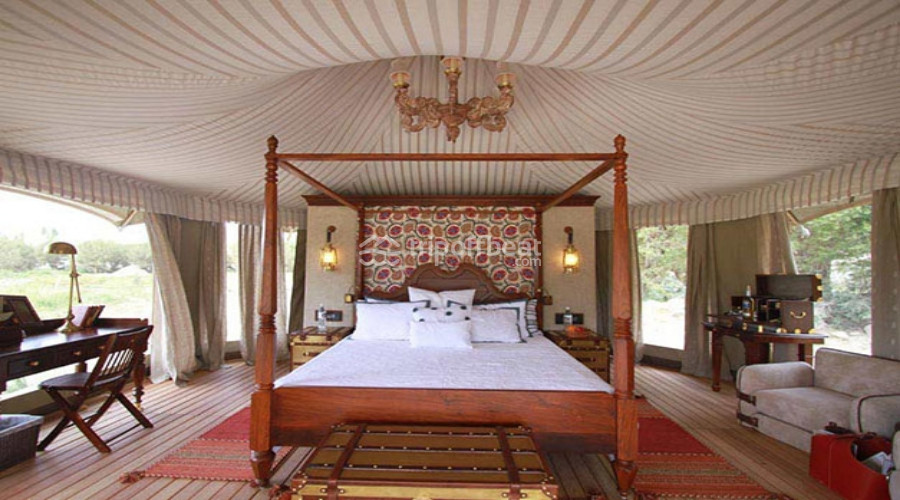 Chamba-camp-diskit-leh-jammu-kashmir-room%20(1)-book-best-offbeat-resorts-tripoffbeat