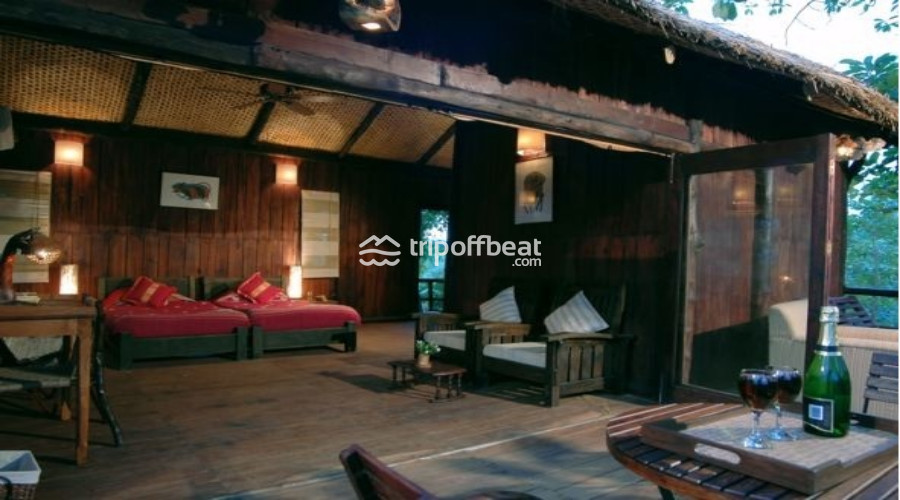 Treehouse%20Hideaway-Bandhavgarh%20National%20Park-Madhya%20Pradesh-Room%20(2)-book-best-offbeat-resorts-tripoffbeat