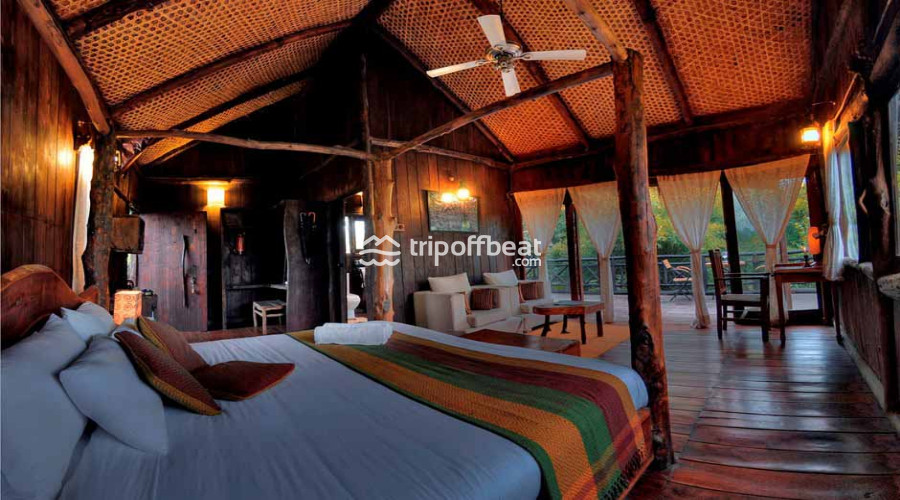 Treehouse%20Hideaway-Bandhavgarh%20National%20Park-Madhya%20Pradesh-Room%20(5)-book-best-offbeat-resorts-tripoffbeat