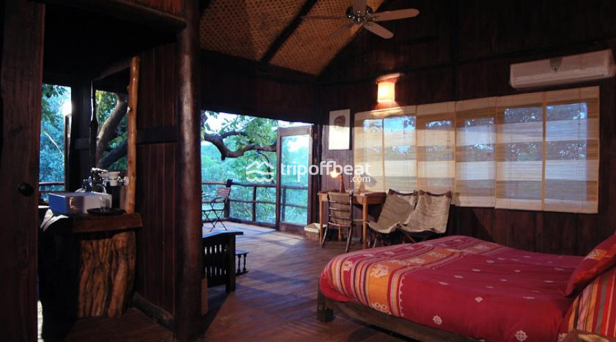 Treehouse%20Hideaway-Bandhavgarh%20National%20Park-Madhya%20Pradesh-Room%20(7)-book-best-offbeat-resorts-tripoffbeat